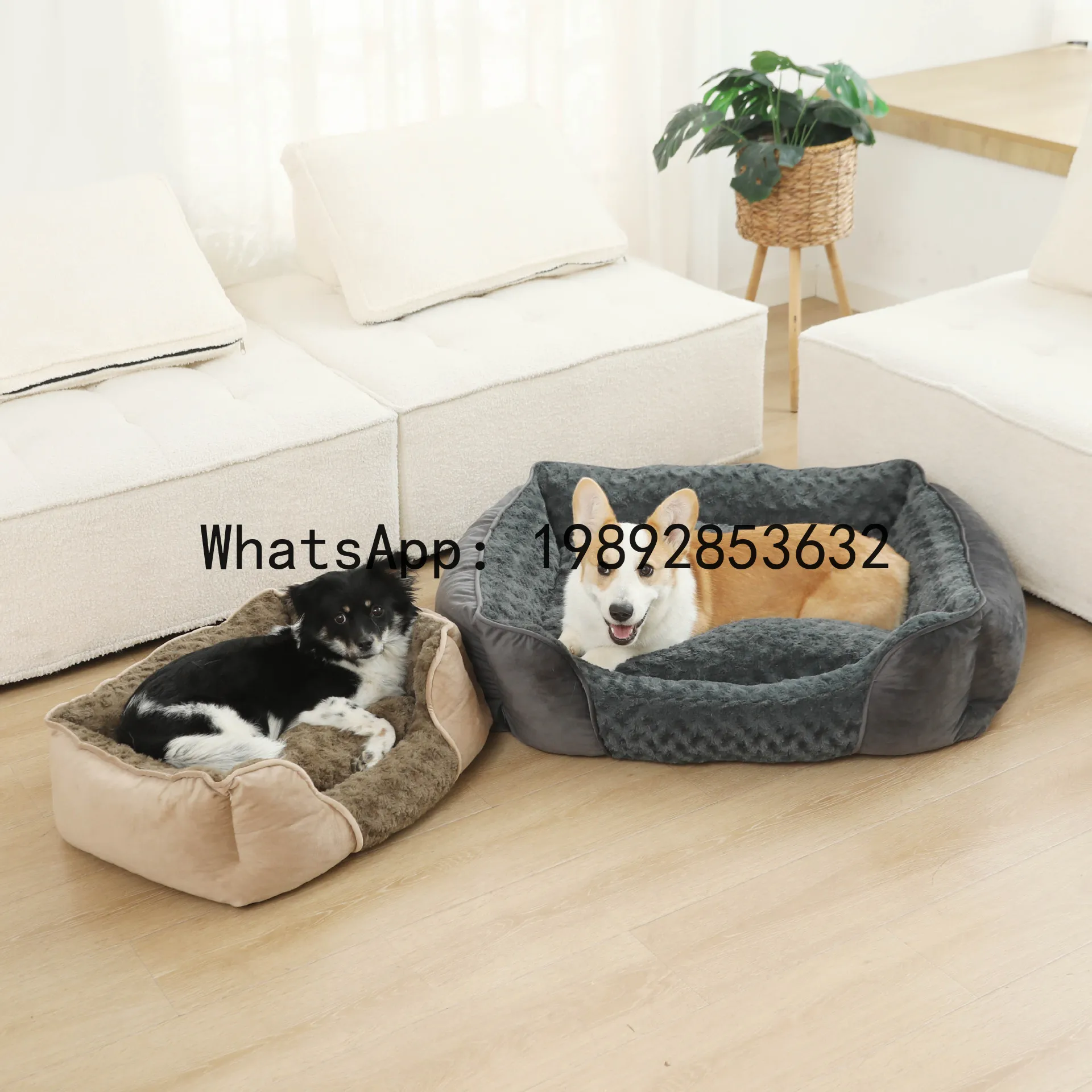 Pet X Supplies & Tack Photos - บ้านแมว X cat house แบบกึ่งปิด สำหรับสุนัข