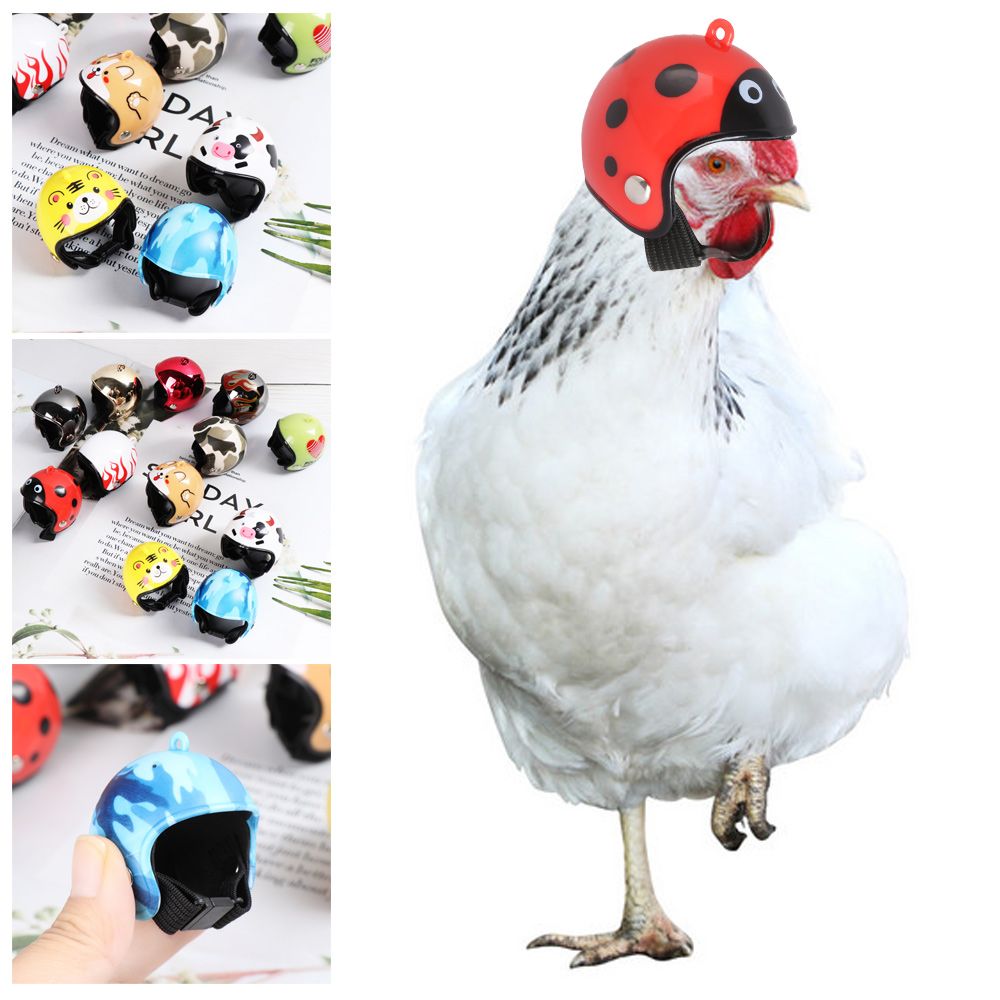 Pet X Supplies & Tack Photos - อุปกรณ์ป้องกันสัตว์เลี้ยง ABS Funny Pet Supplies หมวกป้องกันศีรษะสำหรับนก