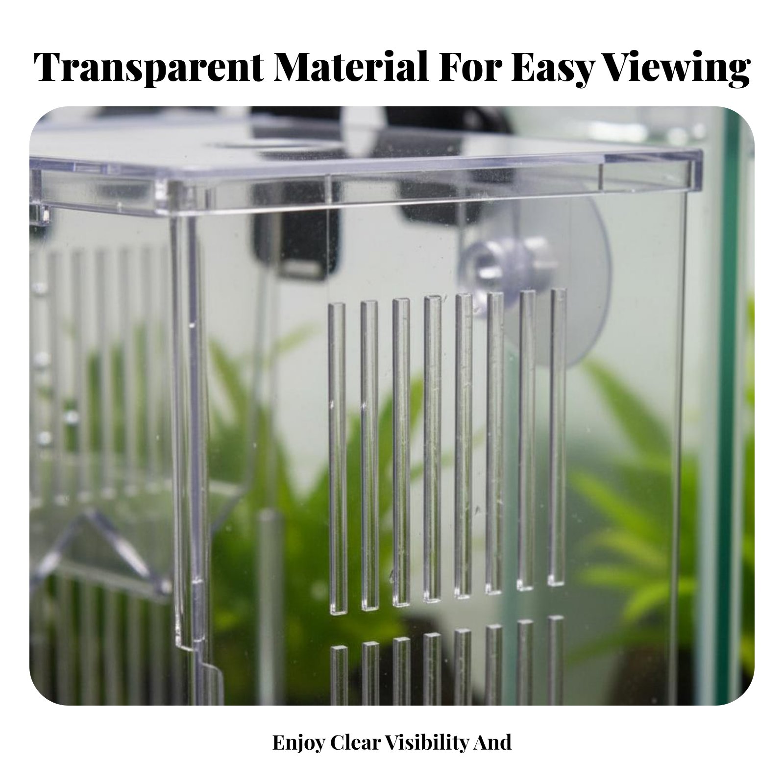 กล่องเพาะพันธุ์ปลาในน้ำ กล่องแ - Aquarium Fish Tank บทวิจารณ์และราคา