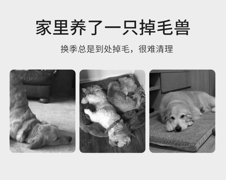 เครื่องดูดขนสัตว์เลี้ยง Amazon - Pet Supplies In Amazon บทวิจารณ์และราคา