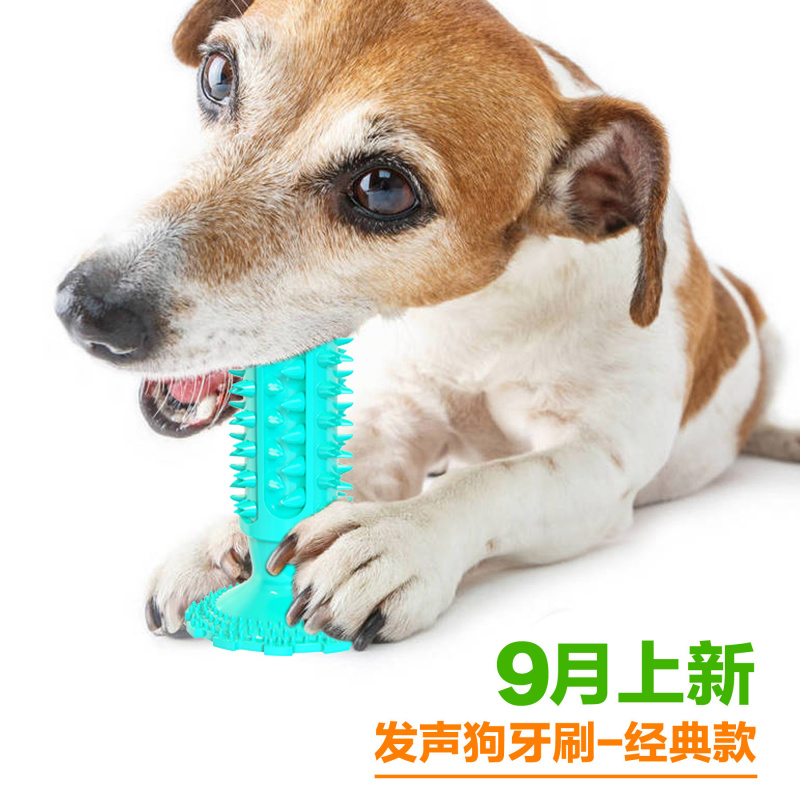 ของเล่นสุนัขพร้อมถ้วยดูด, ไม้เ - Pet Supplies In Amazon บทวิจารณ์และราคา