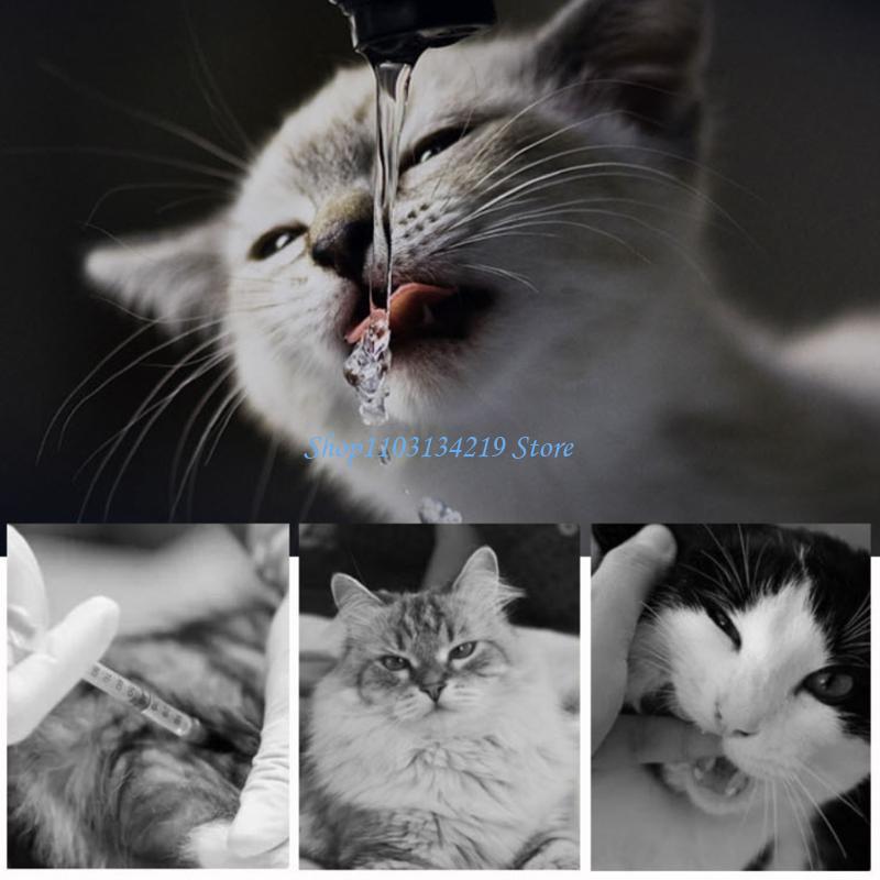 N5KC สัตว์เลี้ยงแมวน้ำพุเปลี่ย - Cat Water Fountain Filter บทวิจารณ์และราคา