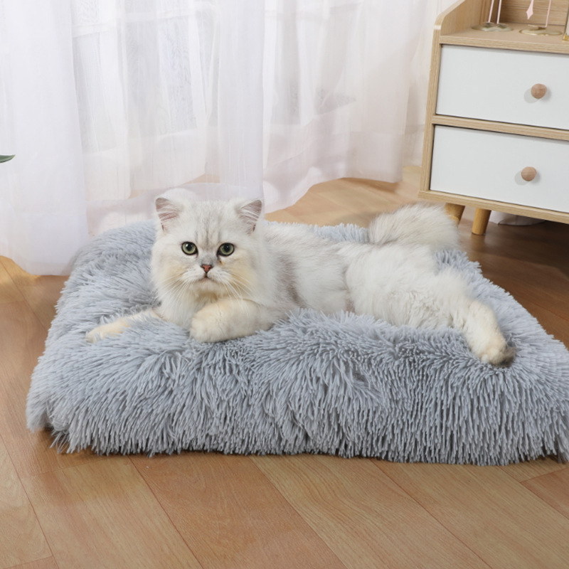 เสื่อสำหรับสัตว์เลี้ยง อเมซอน  - Pet Supplies In Amazon บทวิจารณ์และราคา