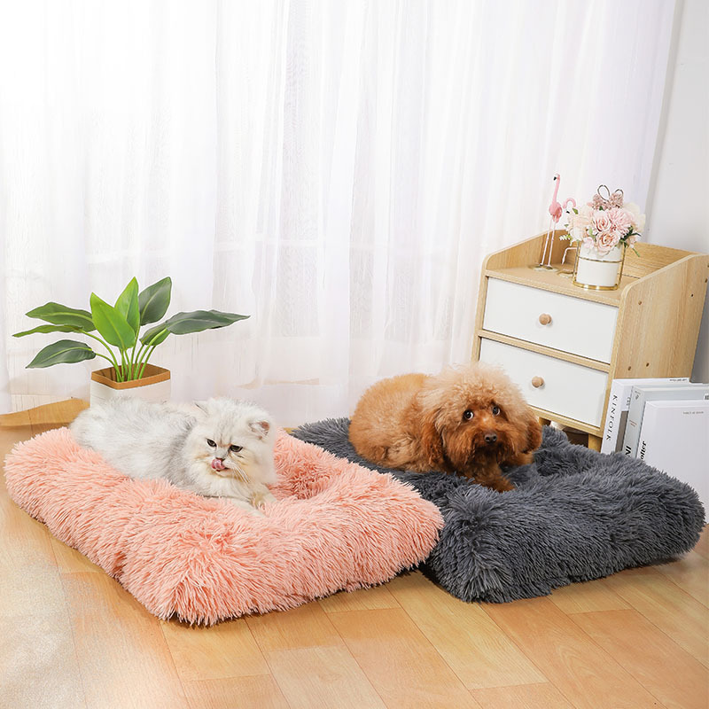 เสื่อสำหรับสัตว์เลี้ยง อเมซอน  - Pet Supplies In Amazon บทวิจารณ์และราคา