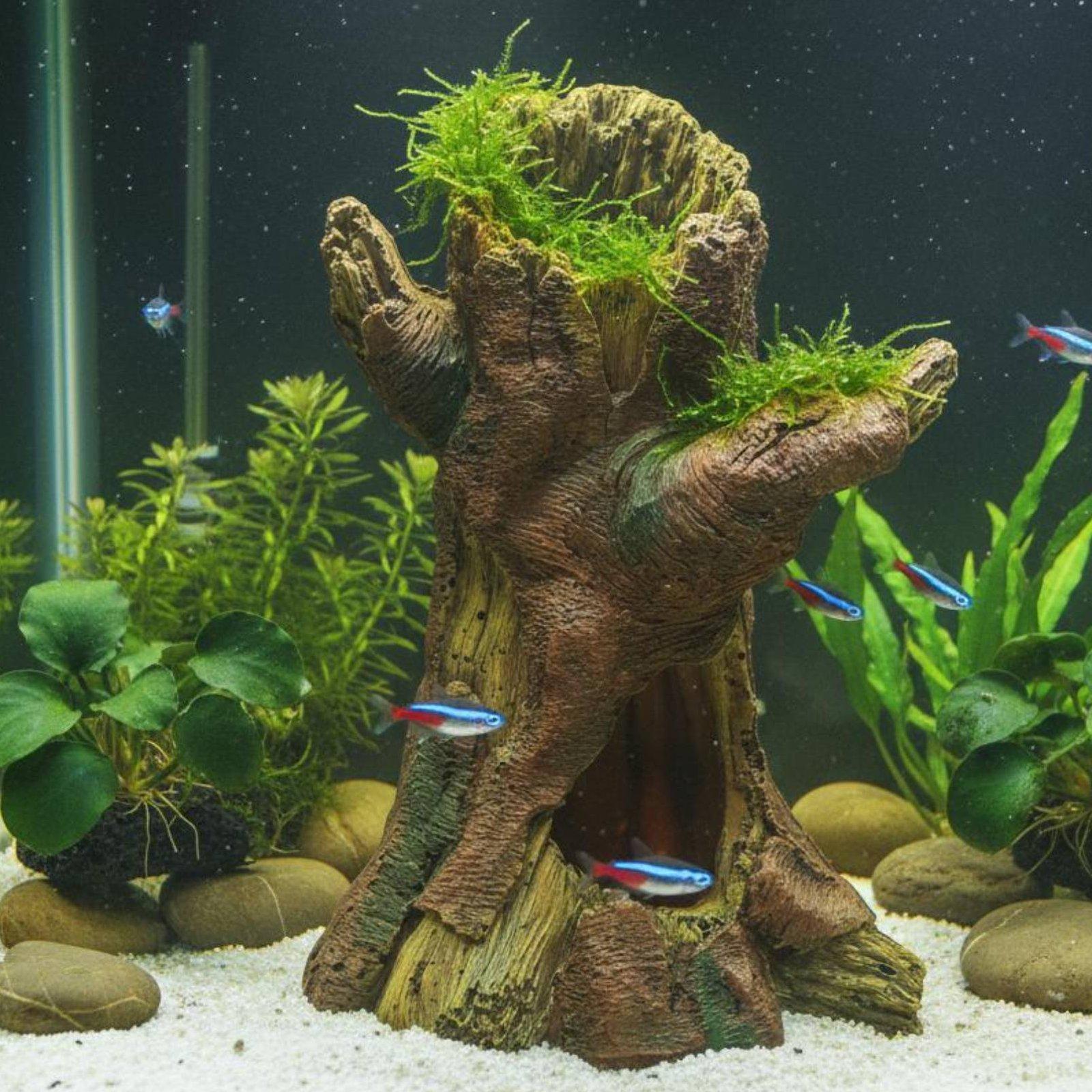 ของตกแต่งตู้ปลา ต้นไม้เรซินสำห - Aquarium Fish Tank บทวิจารณ์และราคา