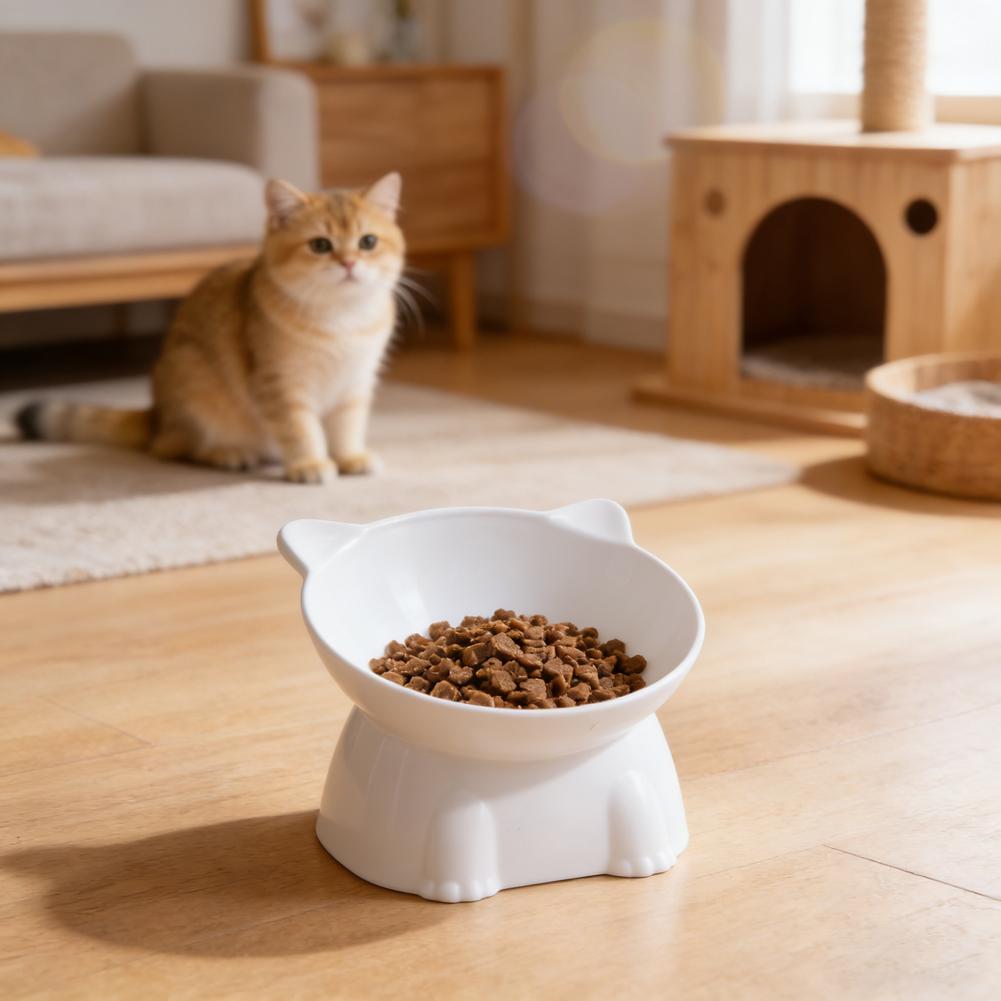 ชามแมวสีดำ ชามแมวเซรามิกอเมซอน - Pet Supplies In Amazon บทวิจารณ์และราคา