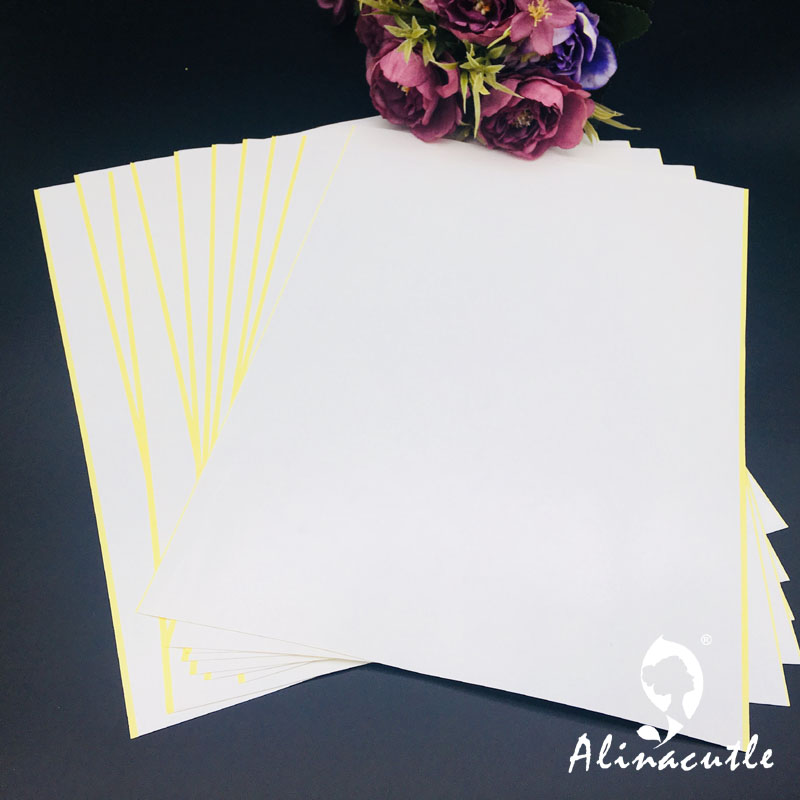 10PC X A4 เทปสองด้าน Strong กา - Pet X Supplies & Tack Photos บทวิจารณ์และราคา