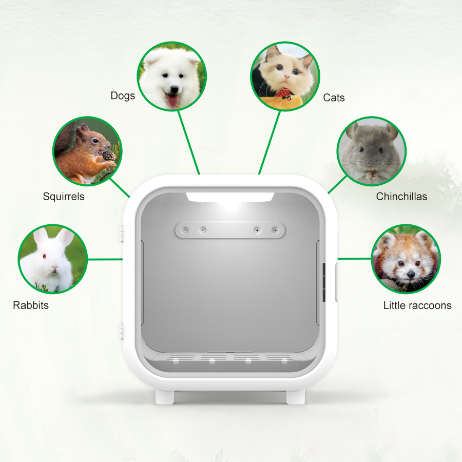 คลินิกสัตว์เลี้ยง JW อุปกรณ์จ่ - Pet Supplies Vet Clinic บทวิจารณ์และราคา