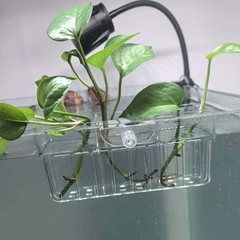 ตะกร้าปลูกพืชไฮโดรโพนิก เกรดอา - Aquarium Fish Tank บทวิจารณ์และราคา