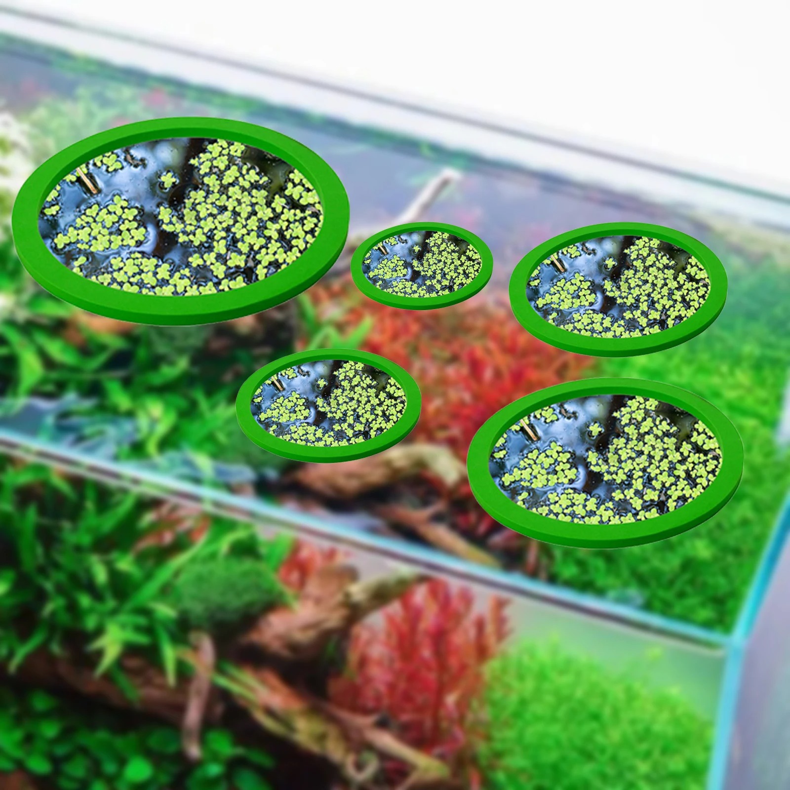 5 ชิ้น EVA ปลา Feeding แหวน Aq - Aquarium Fish Tank บทวิจารณ์และราคา