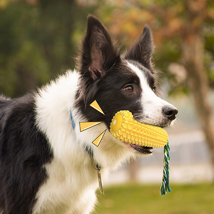 ของเล่นแปรงสีฟันสำหรับสัตว์เลี - Pet Supplies In Amazon บทวิจารณ์และราคา