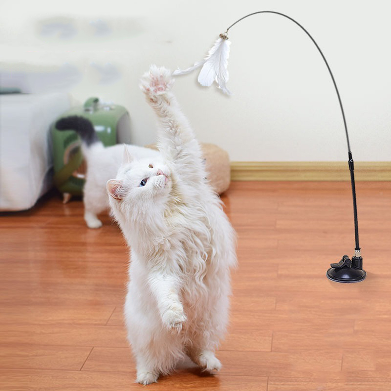ไม้ล่อลวงแมวแบบดูดสุญญากาศรุ่น - Pet Supplies In Amazon บทวิจารณ์และราคา