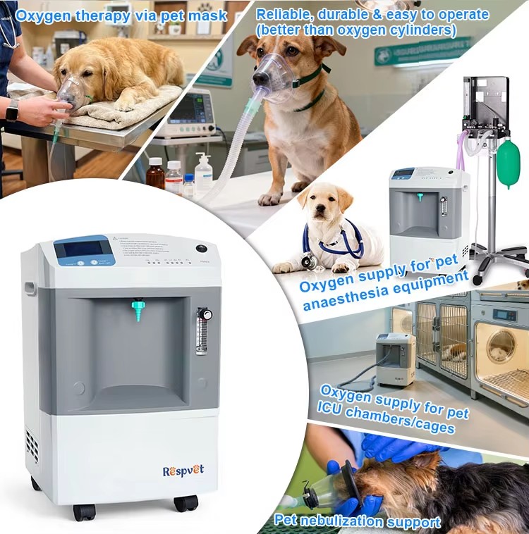 เครื่องจ่ายออกซิเจนสำหรับสัตวแ - Pet Supplies Vet Clinic บทวิจารณ์และราคา