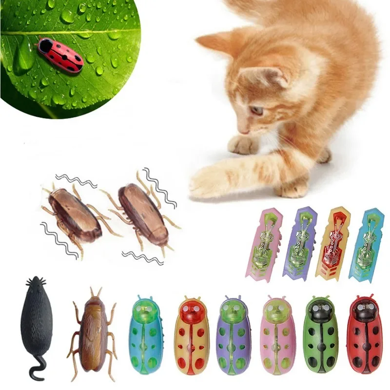 แมลงไฟฟ้าแสนตลกของเล่นล่อเหยื่ - Cat Tunnel Toy บทวิจารณ์และราคา
