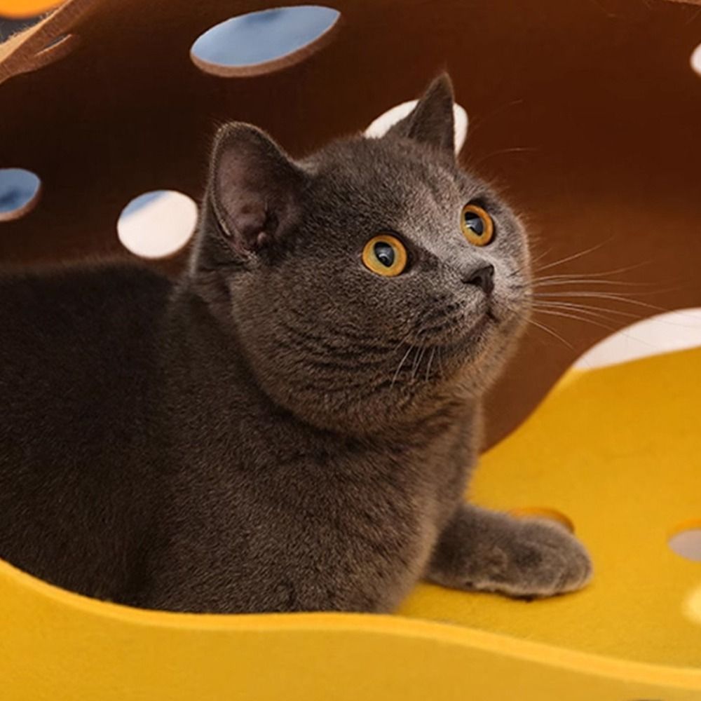 อุโมงค์แมวพับได้ ทนทาน ทำเองได - Cat Tunnel Toy บทวิจารณ์และราคา