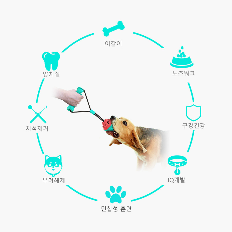 ชุดของเล่นและอุปกรณ์สำหรับสัตว - Pet Supplies In Amazon บทวิจารณ์และราคา
